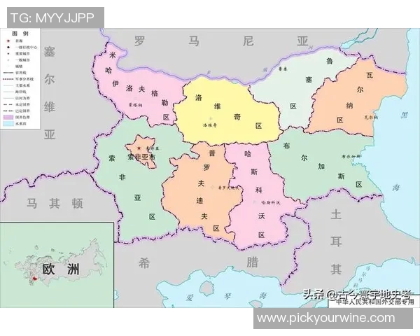 挪威与塞尔维亚足球对决分析及战术解析全景展望