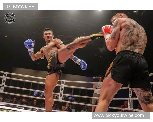 播求与一龙的巅峰对决结果揭晓谁才是真正的武林高手